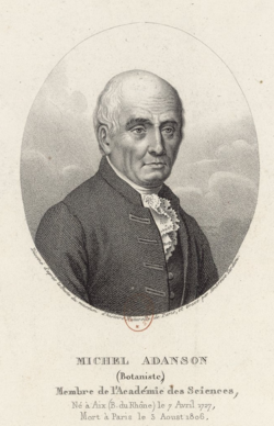 Portrait of Michel Adanson