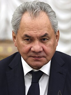 Portrait of Sergei Shoigu