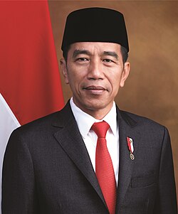 Portrait of Joko Widodo