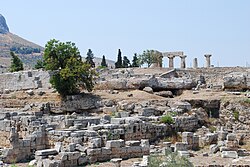 Portrait of Apollos