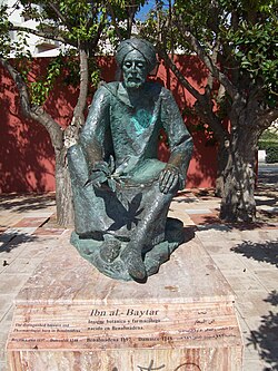 Portrait of Ibn al-Baitar