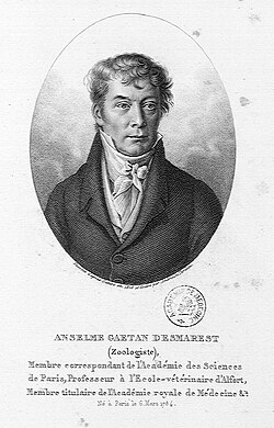 Portrait of Anselme Gaëtan Desmarest