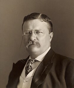 Portrait of Theodore Roosevelt