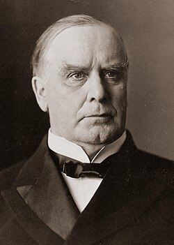 Portrait of William McKinley