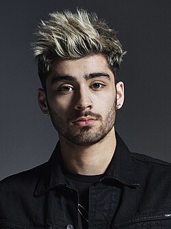 Portrait of Zayn Malik