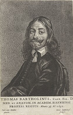 Portrait of Thomas Bartholin