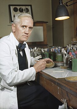 Portrait of Alexander Fleming