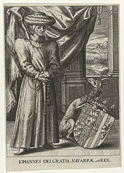 Portrait of John III of Navarre