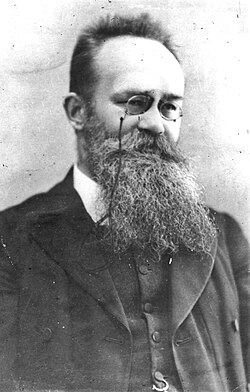 Portrait of Mykhailo Hrushevskyi