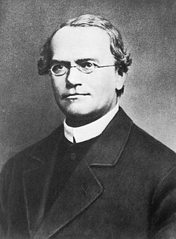 Portrait of Gregor Mendel
