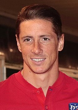 Portrait of Fernando Torres