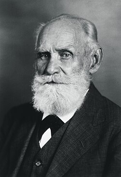 Portrait of Ivan Pavlov