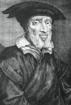 Portrait of Matthias Flacius