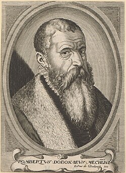 Portrait of Rembert Dodoens