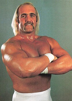 Portrait of Hulk Hogan