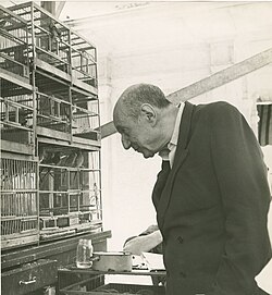 Portrait of Umberto Saba