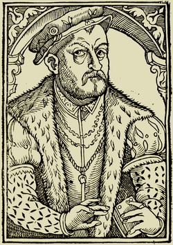 Portrait of Mikołaj Rej