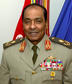 Portrait of Mohamed Hussein Tantawi
