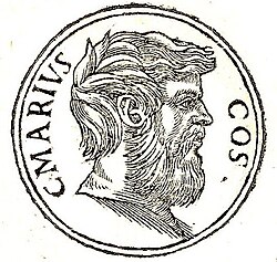 Portrait of Gaius Marius the Younger
