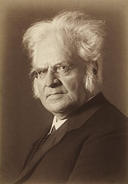 Portrait of Bjørnstjerne Bjørnson
