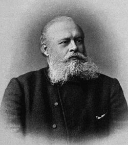 Portrait of Vladimir Markovnikov