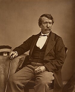 Portrait of David Livingstone