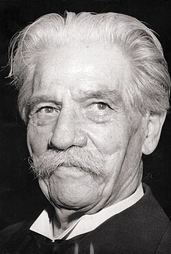 Portrait of Albert Schweitzer