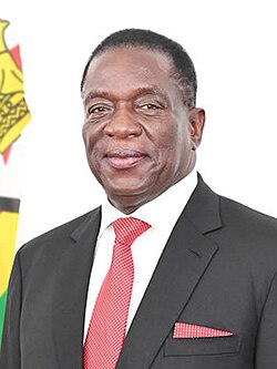 Portrait of Emmerson Mnangagwa