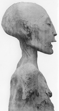 Portrait of The Younger Lady