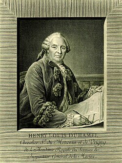 Portrait of Henri-Louis Duhamel du Monceau