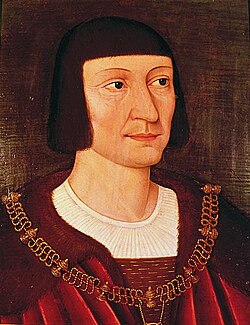 Portrait of Pierre Terrail, seigneur de Bayard
