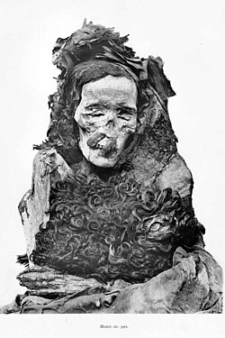 Portrait of Ahmose-Henutemipet