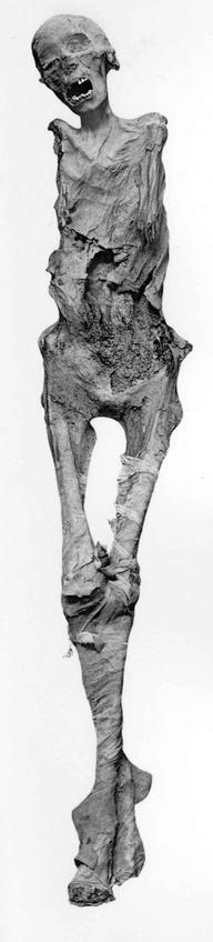 Portrait of Ahmose-Meritamon