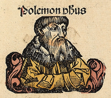 Portrait of Polemon