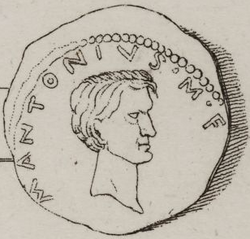 Portrait of Marcus Antonius Antyllus