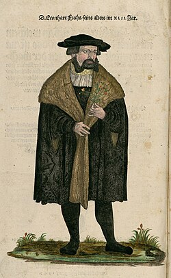 Portrait of Leonhart Fuchs