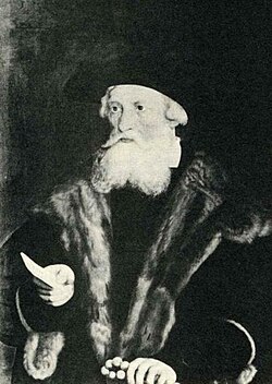Portrait of Louis V