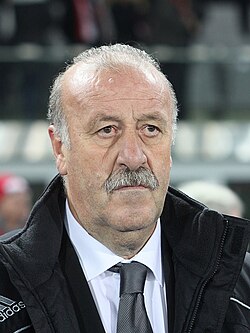 Portrait of Vicente del Bosque