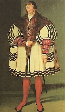 Portrait of Albrecht VII, Duke of Mecklenburg