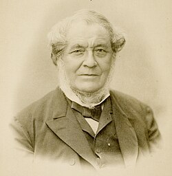 Portrait of Robert Bunsen