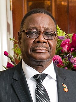 Portrait of Peter Mutharika