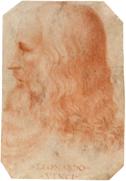 Portrait of Leonardo da Vinci