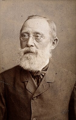 Portrait of Rudolf Virchow