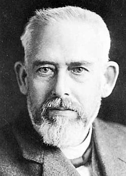 Portrait of Max Wolf
