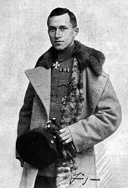 Portrait of Ernst Jünger