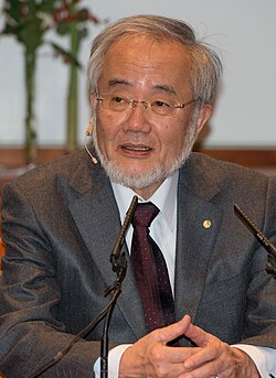 Portrait of Yoshinori Ohsumi