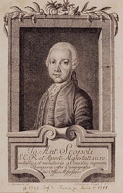Portrait of Giovanni Antonio Scopoli