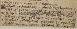 Portrait of Sigered of Essex