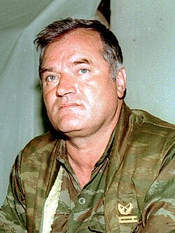 Portrait of Ratko Mladić