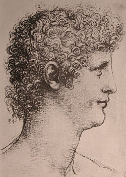 Portrait of Salaì